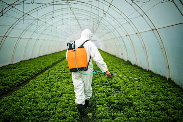 Best Mosquito Control Services  in Sconsin Rapids, WI
