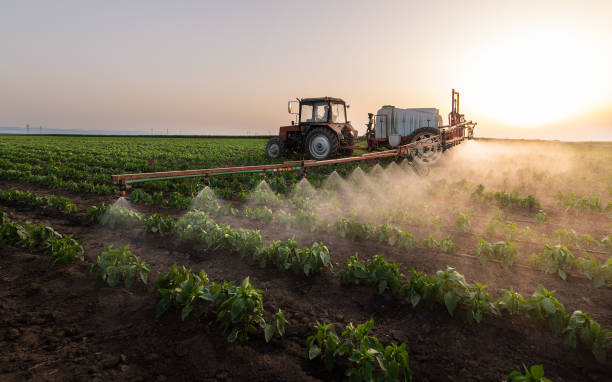 Best Cockroach Control Services  in Sconsin Rapids, WI