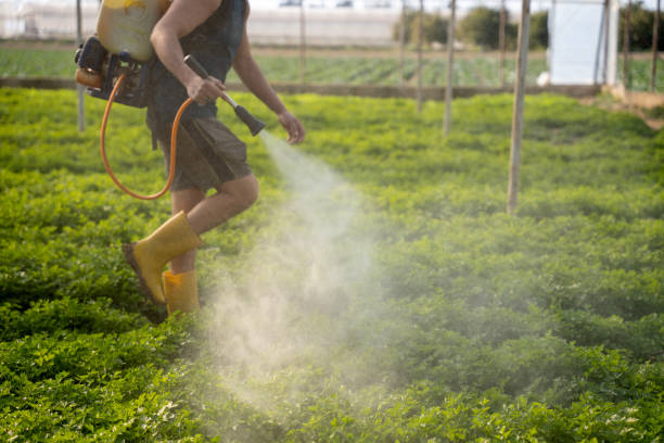 Pest Control Cost in Wisconsin Rapids, WI