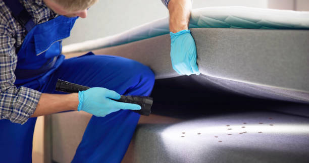 Best Emergency Pest Control  in Sconsin Rapids, WI