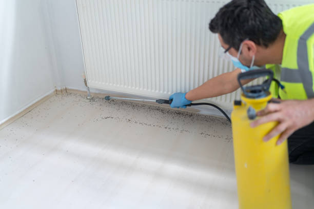 Best Pest Removal Services  in Sconsin Rapids, WI
