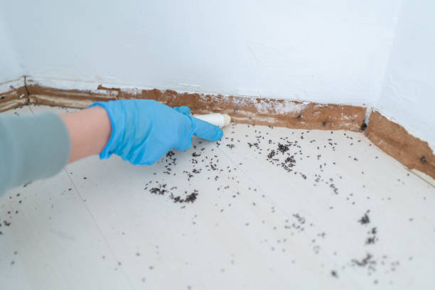 Best Pest Control for Businesses  in Sconsin Rapids, WI