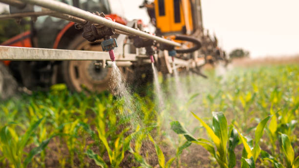 Best Ant Control Services  in Sconsin Rapids, WI